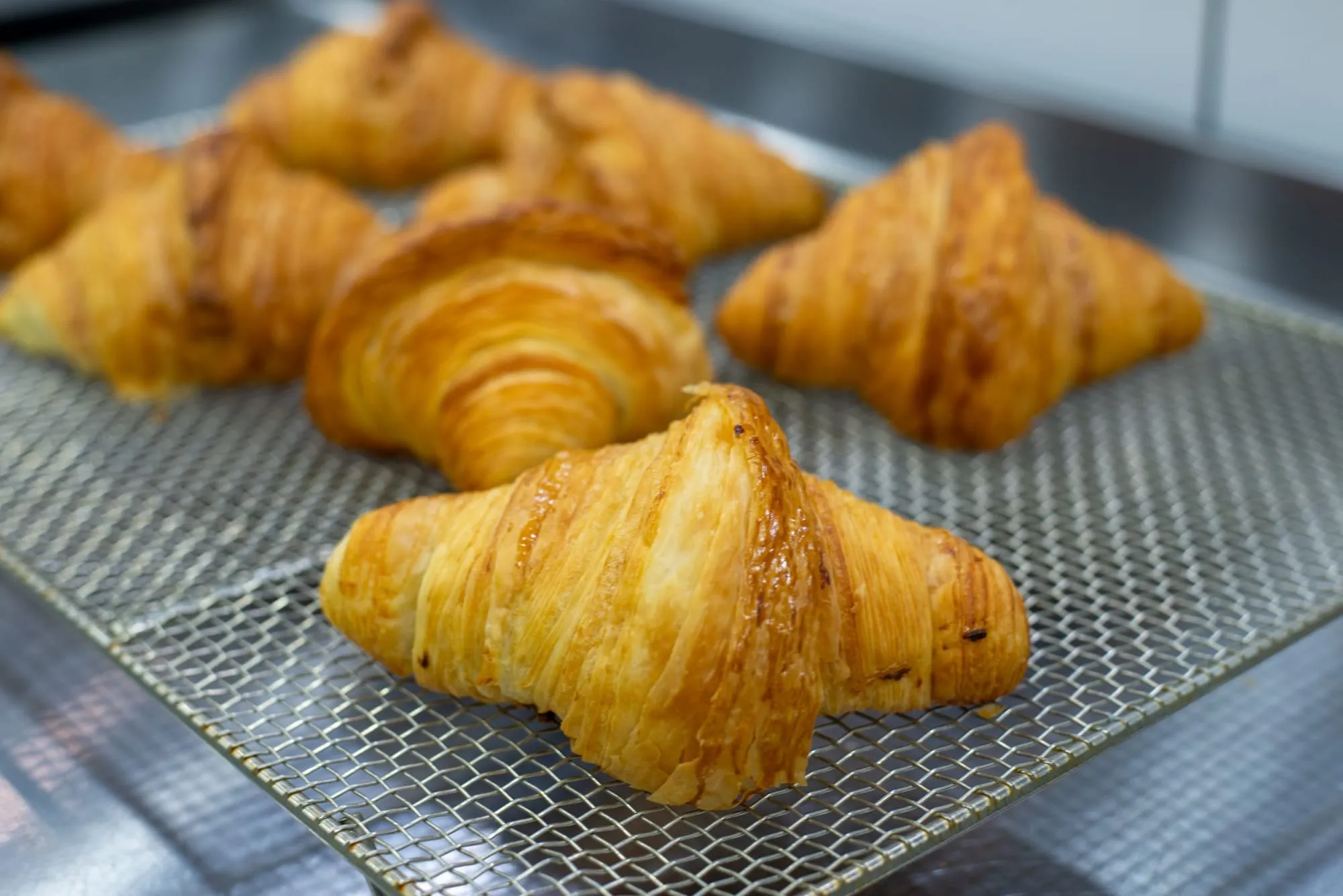 Butter croissant