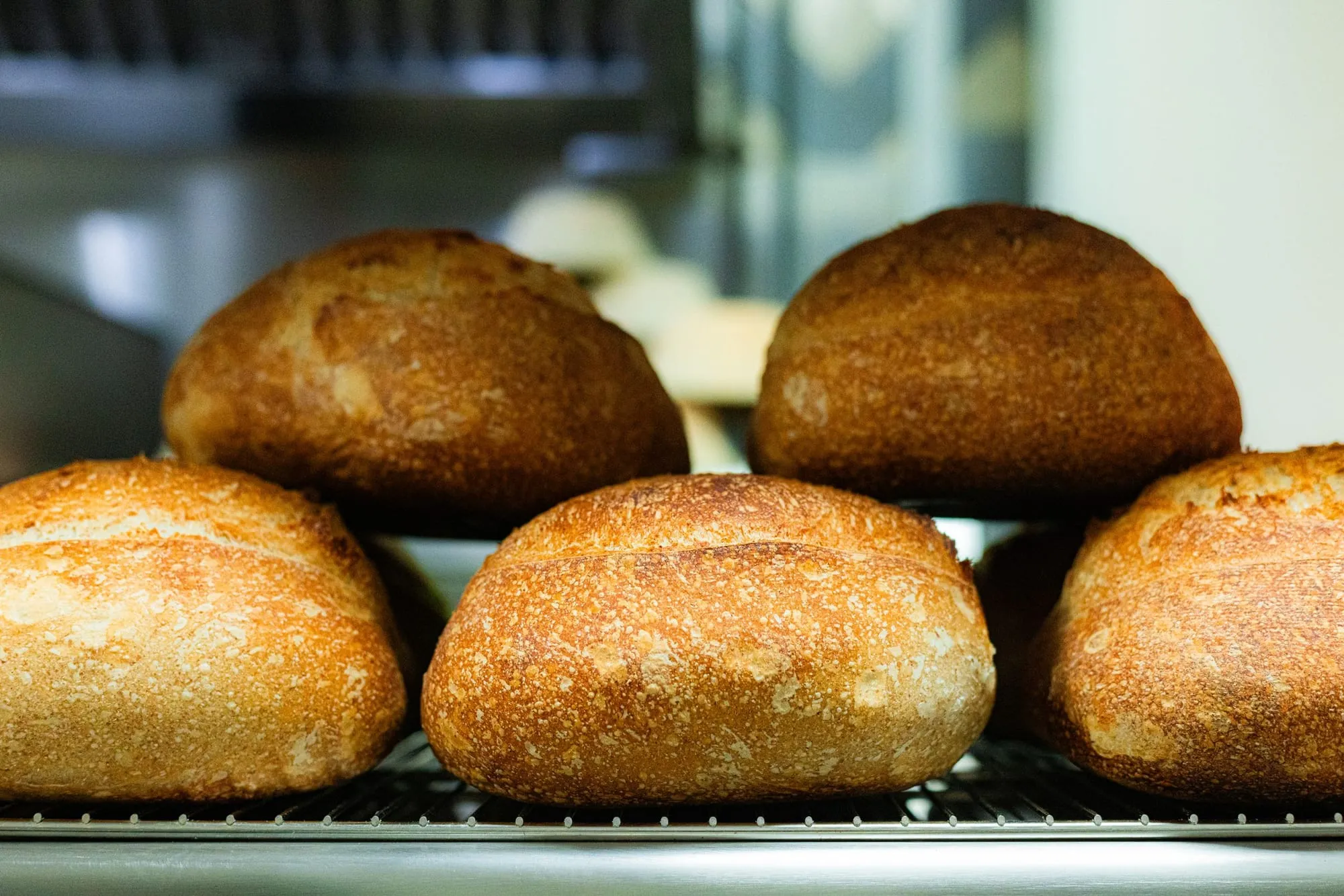 Little Fern Bakehouse